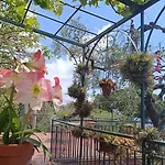 Villa La Mamounia